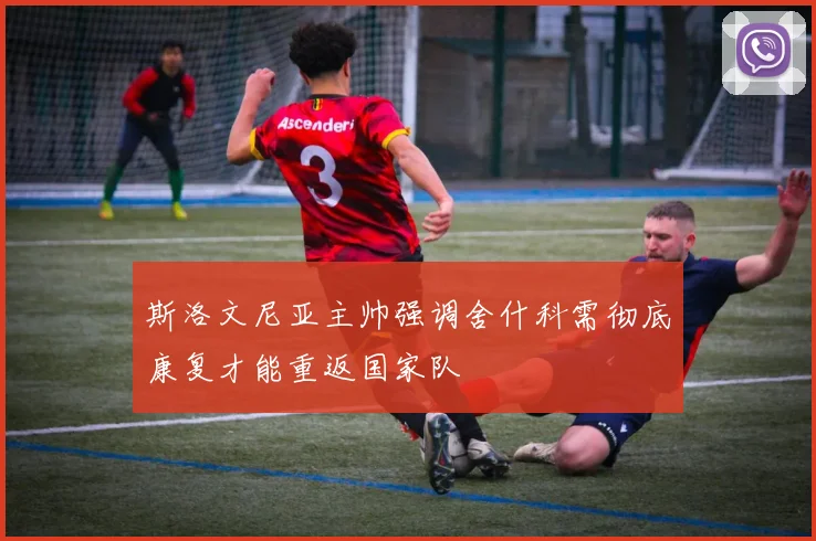 斯洛文尼亚主帅强调舍什科需彻底康复才能重返国家队