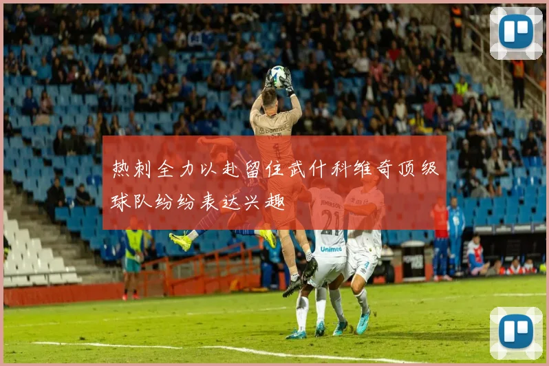 热刺全力以赴留住武什科维奇顶级球队纷纷表达兴趣